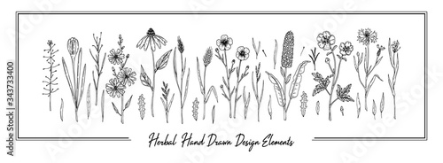 Set of hand drawn meadow flowers isolated on white. Vector illustration in sketch style