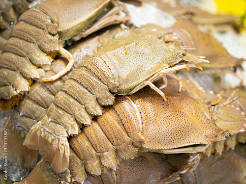 Fresh mantis shrimp sale at fish market. Scientific name Stomatopoda. photo