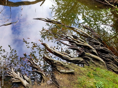 Naturschutzgebiet Wiembecketal bei Horn-Bad Meinberg photo