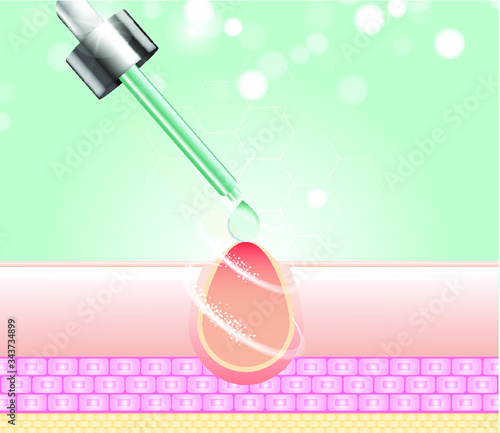 Three main layer of the human skin. skin aging stages diagrams, ollagen and elastin progressive decrease close up, skincare infographics. Illustration about medical diagram.