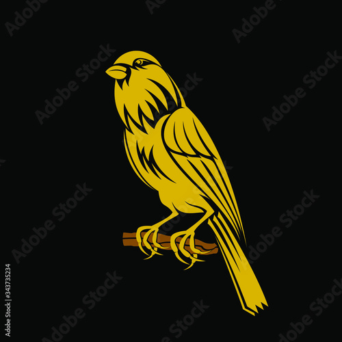 Yellow canary bird vector illustration