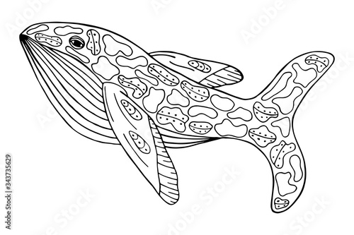 Hand drawn blue whale on a white isolated background. Coloring book for children and adults. Simple outline antistress drawing.