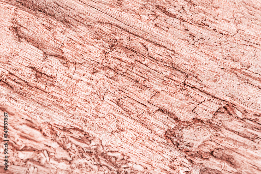 Fototapeta premium Trendy pastel background in rose gold. Backdrop trendy