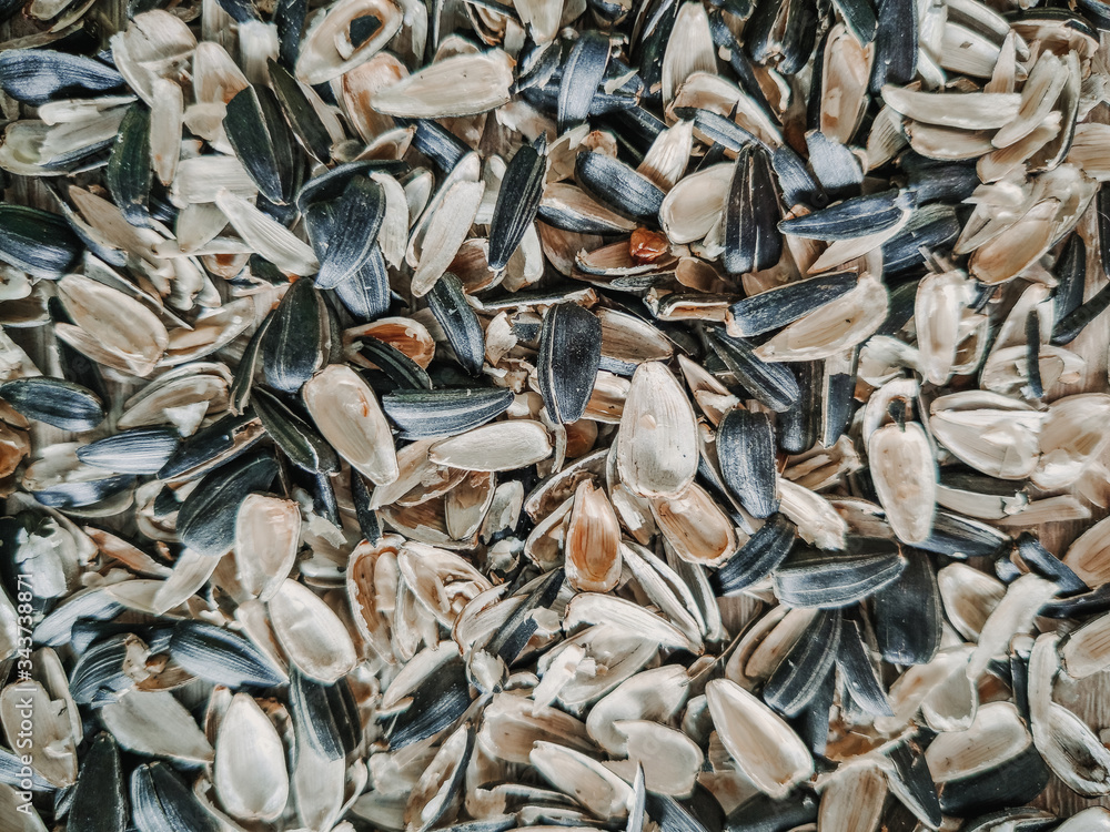 texture of the husk from the seeds cleanup desktop wallpaper trash mess texture of the husk from the seeds cleanup desktop wallpaper trash mess