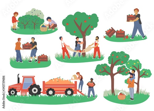 People picking fruits and berries, vector flat isolated illustration