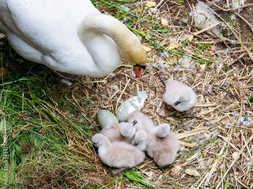 Breil sur Roya-Sur le lac