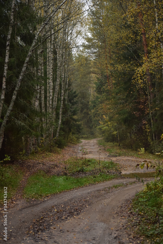 Naklejka premium Природа Владимирской области