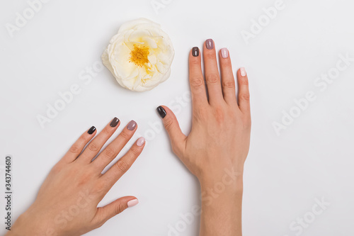 Woman s hands with beautiful manicure on the white background 