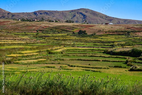 マダガスカル のアンタナナリボからmorondavaまでの道の風景。棚田が美しい。標高1500ｍ前後の中央高地は、どこへいっても棚田があった。 © mizoyoko