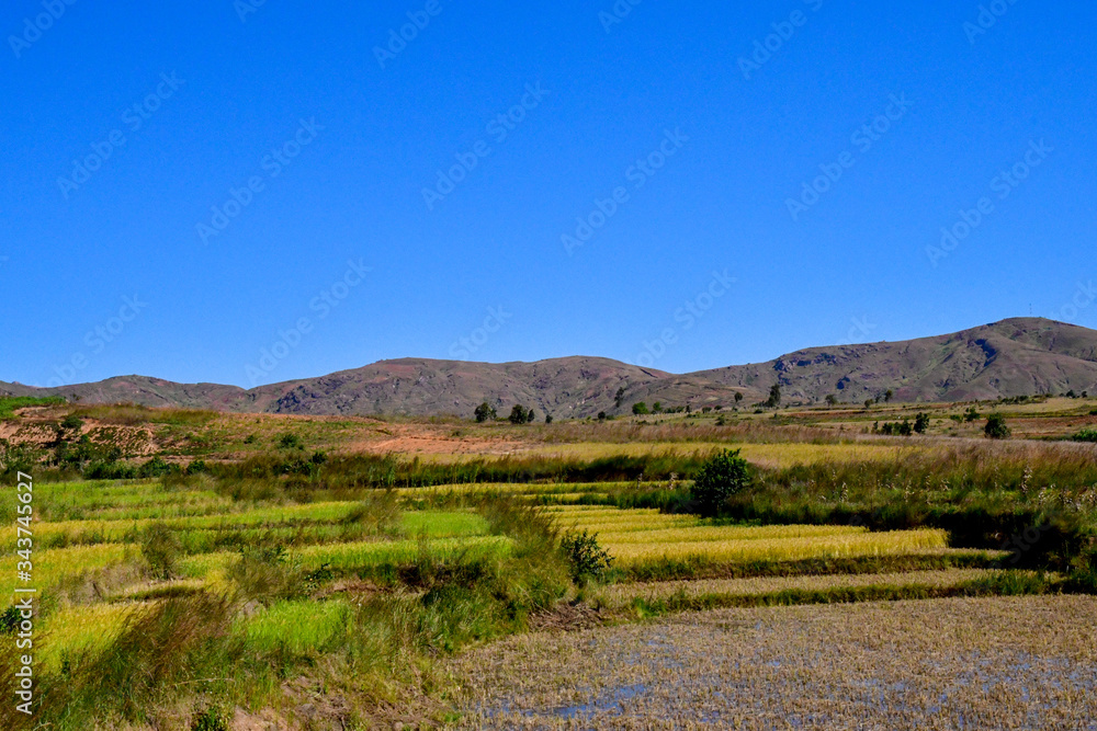 Naklejka premium マダガスカル のアンタナナリボからmorondavaまでの道の風景。棚田が美しい。標高1500ｍ前後の中央高地は、どこへいっても棚田があった。