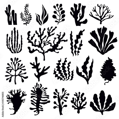 Set of seaweeds