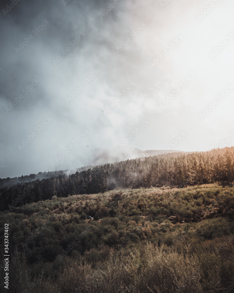A vertical shot of dried grass ground under cloudy sky A vertical shot of dried grass ground under cloudy sky