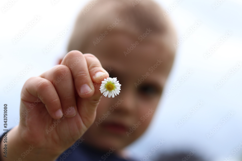 Young little boy with the daisy in his hand Young little boy with the daisy in his hand