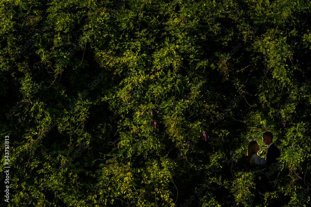 Obraz premium Wedding photography