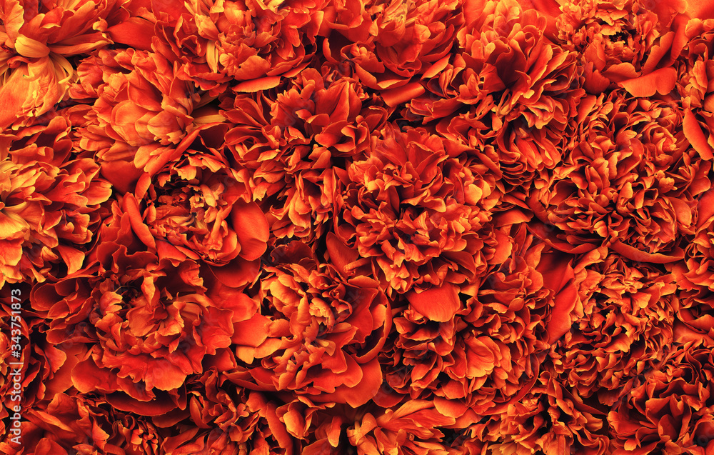 Fototapeta premium Abstract orange flower