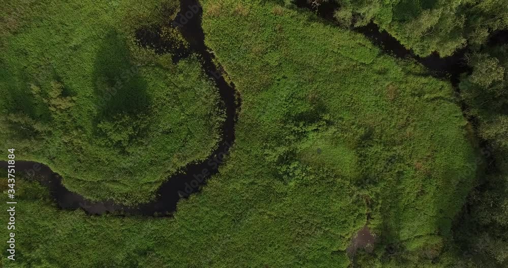 4K aerial bright summer day high quality video footage of lush bright green panoramic woods and pristine forest river in rural countryside in Yaroslavl region of Russia 4K aerial bright summer day high quality video footage of lush bright green panoramic woods and pristine forest river in rural countryside in Yaroslavl region of Russia