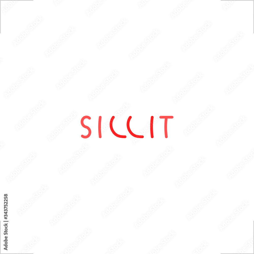 sillit logo type font design