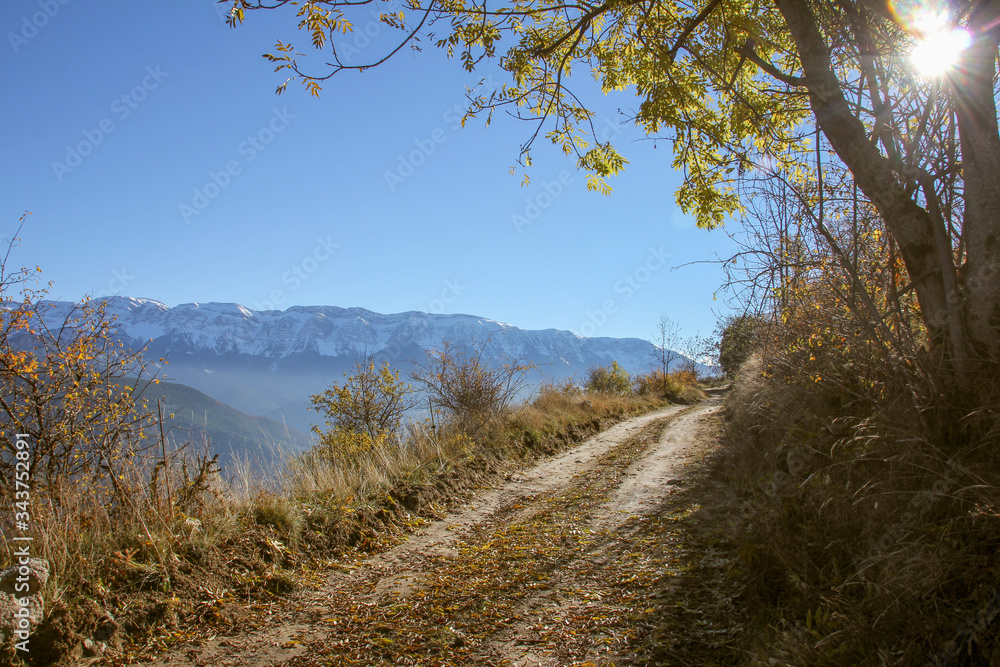 Dirt road with vegetation and snowy mountains in the background on a sunny day