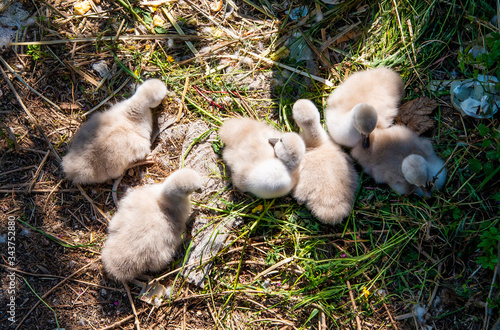 Breil sur Roya-Medrcantour-Sur le lac