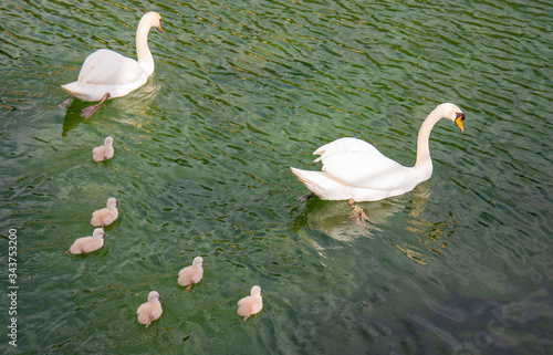 Breil sur Roya-Medrcantour-Sur le lac