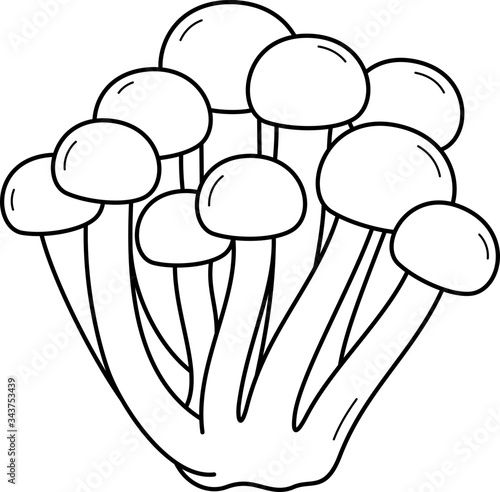 Mushrooms