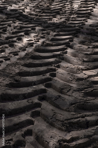 Spring in the forest. Schoonloo Drenthe Netherlands. Tractor tyre tracks. photo