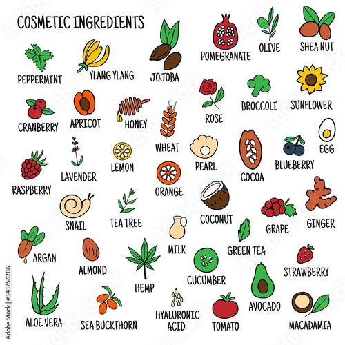 Hand-drawn plants flowers herbs fruits vegetables, oils. Cosmetic ingredients set. Vector collection of icons