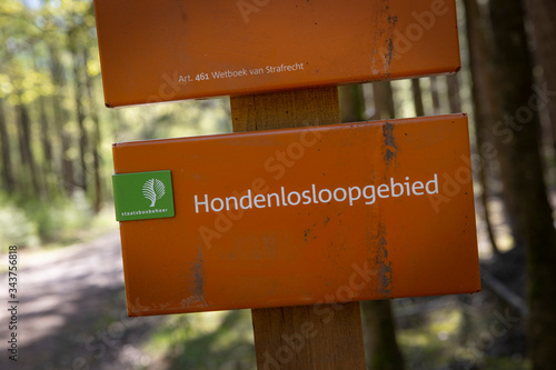 Sign says Dogs walking area. Free for dogs. Spring in the forest. Schoonloo Drenthe Netherlands. Woods. Trees. photo