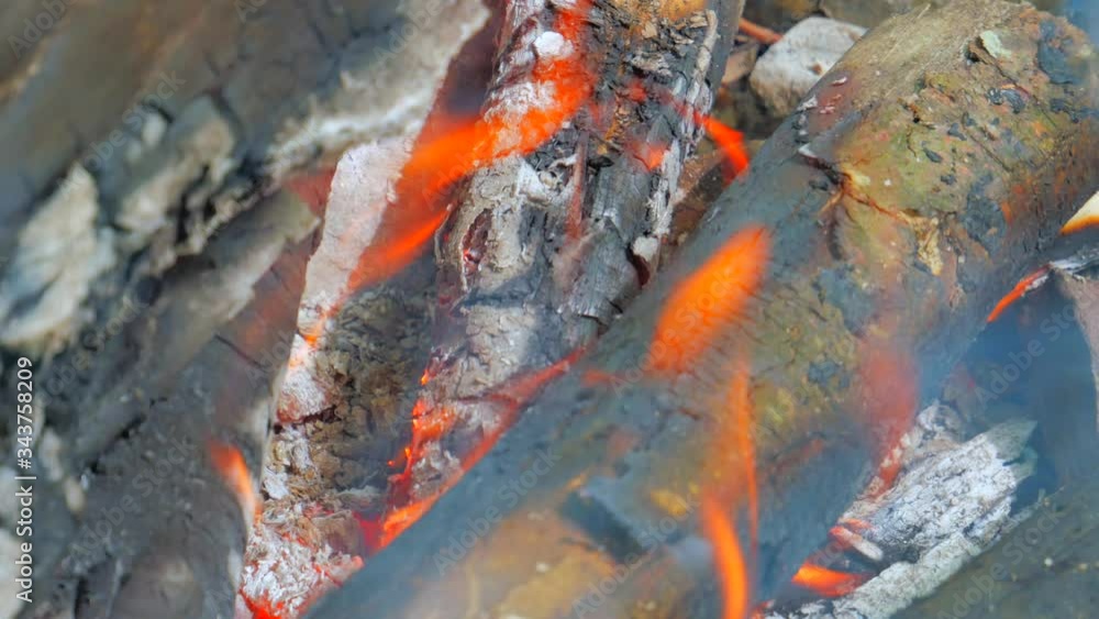 Bonfire flame closeup shot. Tongues of flame lick firewood. Light blue haze around. Bonfire in the forest. The life of a tourist. Bonfire flame closeup shot. Tongues of flame lick firewood. Light blue haze around. Bonfire in the forest. The life of a tourist.