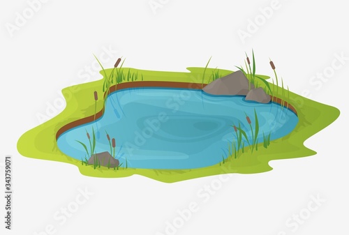 Picturesque water pond with reeds. The concept of an open small swamp lake in a natural landscape style. Natural natural design in a beautiful color, rural, country style illustration.