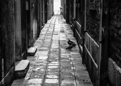 Fototapeta Naklejka Na Ścianę i Meble -  Empty venice street (black and white)