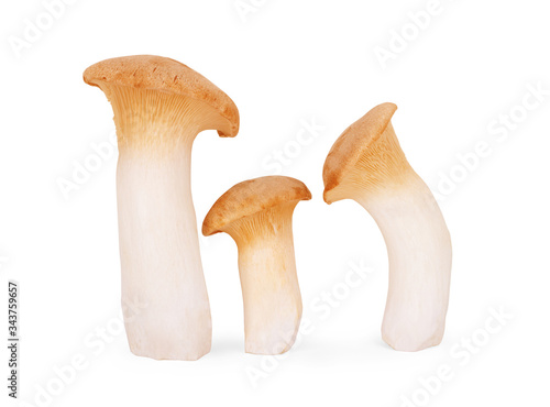 eringi mushrooms isolated on white background
