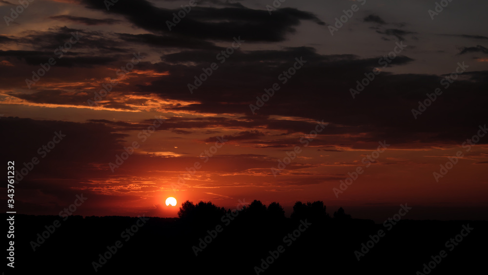 The sun sets over the horizon. Silhouettes of trees on sunset sky background. Colorful clouds. The sun sets over the horizon. Silhouettes of trees on sunset sky background. Colorful clouds.