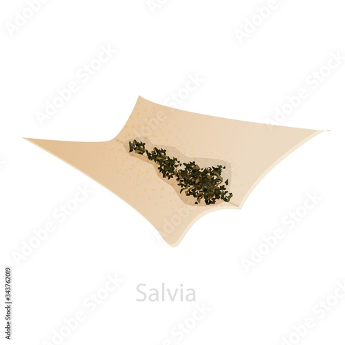 Salvia ready for smoking. The concept of narcotic sage containing the psychoactive hallucinogen salvenorin A. Natural organic drug psychedelic.