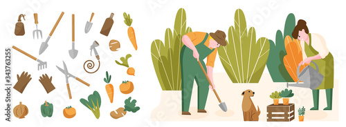 People stay home and grow veggies at home. Cultivating home garden, Quarantine activities, Flat cartoon vector illustration.