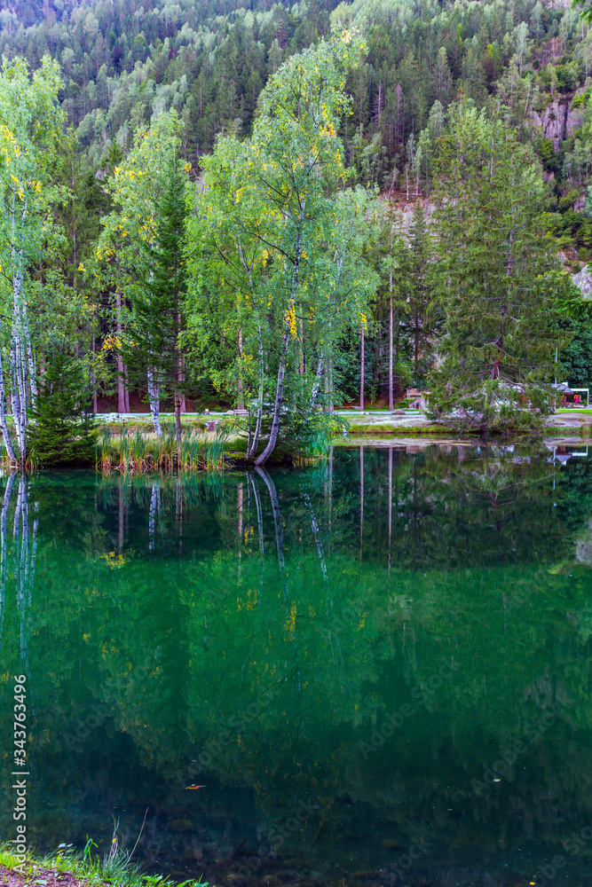 Reflects the bright green of the forest