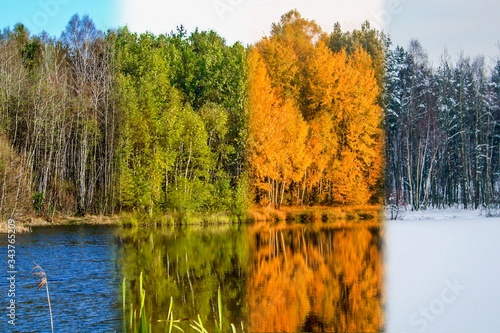 cztery pory roku na jednym zdjęciu, widok na staw w czterech porach roku, wiosna, lato, jesień, zima © Zbigniew