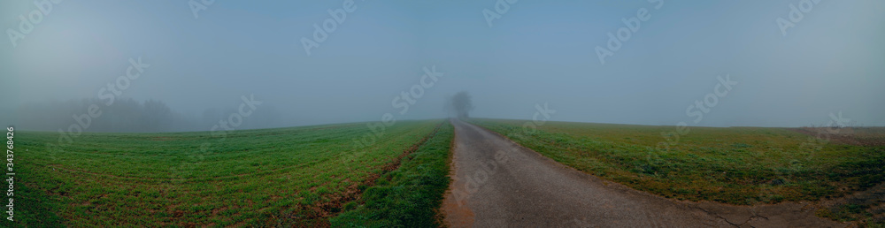 Panorama of a morning field in foggy weather