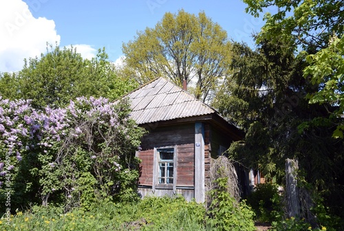 Abandoned village in the Chernobyl zone. Belarus.