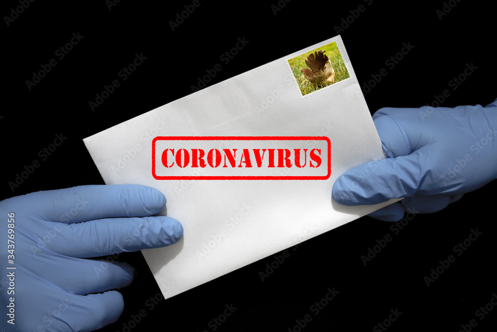 Ludzkie ręce w rękawicach ochronnych z listem, który może zawierać wirusa COVID-19. Przesyłki pocztowe mogą rozprzestrzeniać koronawirusa.

 - obrazy, fototapety, plakaty 