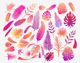 Set of vector illustration of tropical fern leaves in color. Exotic art design. Natural decorative element isolated. Beautiful graphic art. Retro decorative background for textile print and decor.