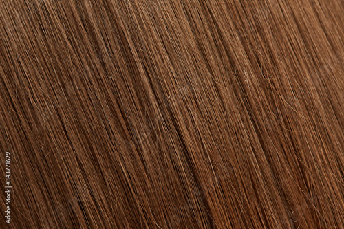 The texture of beautiful women's brown hair after the Barber's procedure.