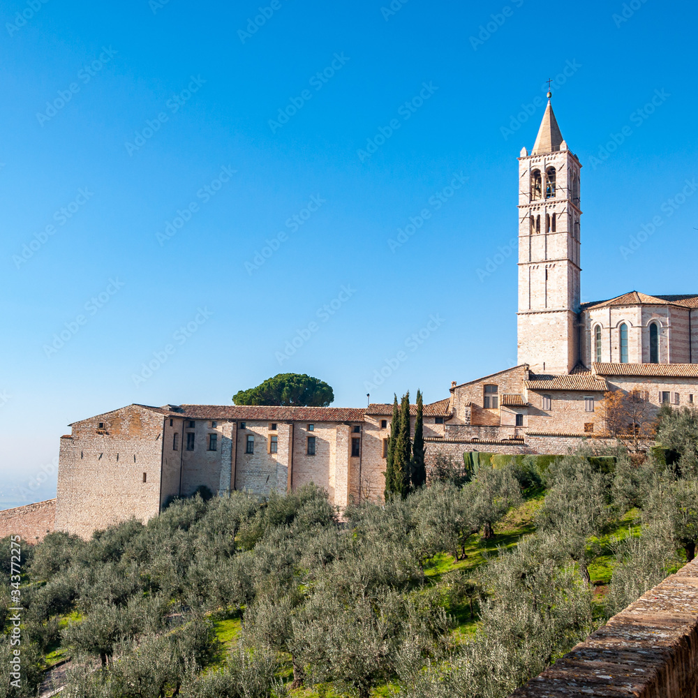 Assisi, the city of peace, Italy. UNESCO World Heritage Site, the birthplace of Saint Francis. View of the Basilica of Saint Chiara and the hill with olive trees in front.
