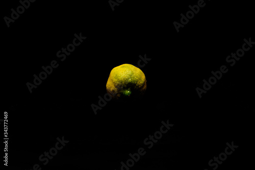 Citrus Orange Lemon and Tangerine  © lourens