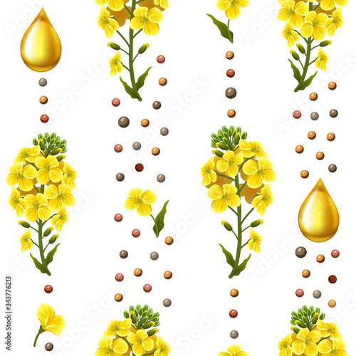 Rape seeds and flowers, canola oil. Brassica napus. Seamless vector pattern.