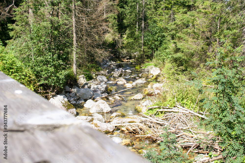 Mountain stream. A view of a mountain stream in National Park High Tatras Mountain stream. A view of a mountain stream in National Park High Tatras