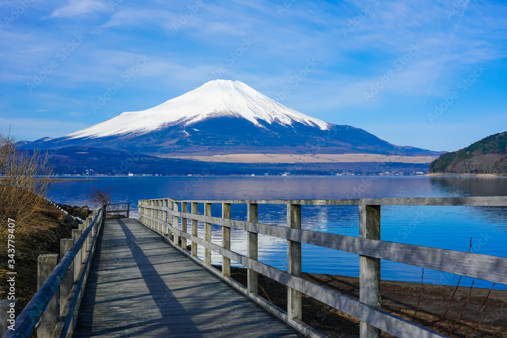 山中湖畔の木道から富士山