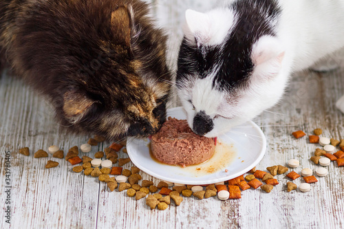 Two domestic cats sharing a plate of pate and snacks