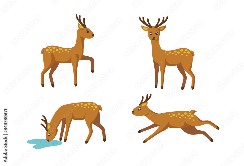 Set of four deers for cute patterns and designs. Vector illustration in cartoon style Set of four deers for cute patterns and designs. Vector illustration in cartoon style