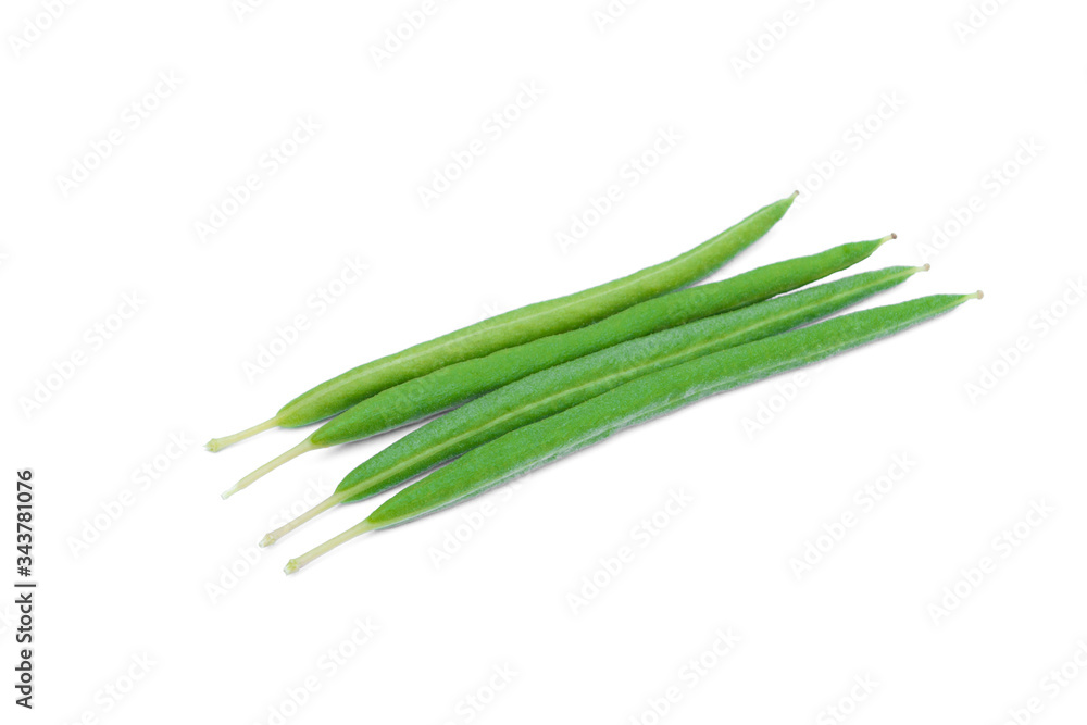 Wild spider flower isolated on white background,Cleome gynandraBoth vegetables contain hydrocyanic acid. But will decrease when fermented or heated. Wild spider flower isolated on white background,Cleome gynandraBoth vegetables contain hydrocyanic acid. But will decrease when fermented or heated.